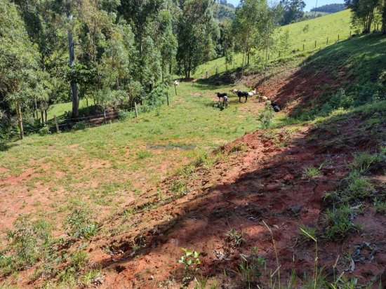 sitio-venda-moinho-toledo-mg-836680