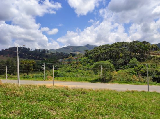 lote-venda-loteamento-mirante-do-matao-fase-1-1066785