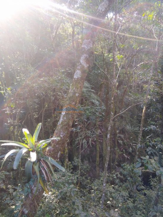 sitio-venda-serra-de-extrema-mg-470861