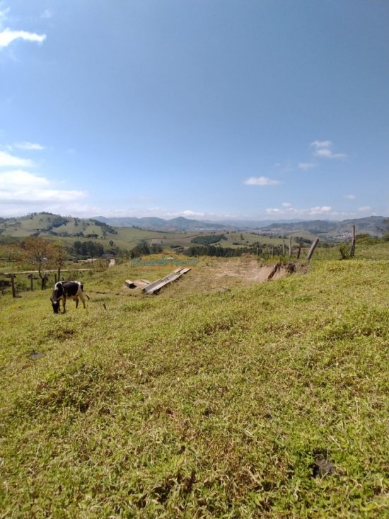 terreno-venda-extrema-mg-mamoneiro-772609